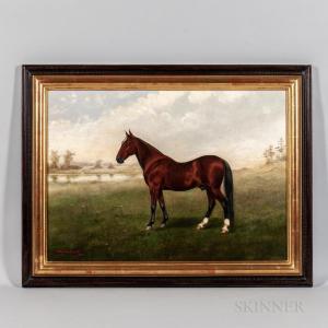zandt william van horse portrait brown