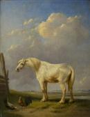 VERBOECKHOVEN Eugene Joseph Cavallo Bianco E Due Galline In Un Paesaggio Di Campagna VERBOECKHOVEN Eugene Joseph Cavallo Bianco E Due Galline In Un Paesaggio Di Campagna