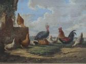 VERHOESEN Albertus Turkey And Other Fowl VERHOESEN Albertus Turkey And Other Fowl