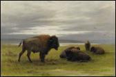 VERNER Frederick Arthur Buffalo On The Prairies VERNER Frederick Arthur Buffalo On The Prairies