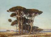 VIDAL Gustave Les Pins Parasol VIDAL Gustave Les Pins Parasol