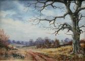 VOKES Colin Rural Country VOKES Colin Rural Country