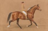 VOLKERS Emil Chamant. English Thoroughbred Stallion VOLKERS Emil Chamant. English Thoroughbred Stallion