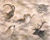 W.SIEMERS Asiens Hochgebirgswild W.SIEMERS Asiens Hochgebirgswild