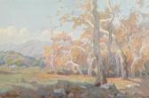 WACHTEL Marion Kavanaugh Yellow Sycamore Trees WACHTEL Marion Kavanaugh Yellow Sycamore Trees