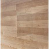 WAGNER Luise (Elise) Canadian Mise En Abyme Laminate WAGNER Luise (Elise) Canadian Mise En Abyme Laminate