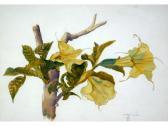 WAHA WIEJ Floral Study WAHA WIEJ Floral Study