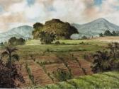 WAHDI Tropische Landschaft. WAHDI Tropische Landschaft.