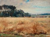 WAHLBERG Alfred Undulating Field With Poppies WAHLBERG Alfred Undulating Field With Poppies