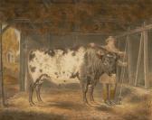 WAITE W.W. A Prize Ox In A Barn WAITE W.W. A Prize Ox In A Barn