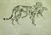 WALKER Clive Cheetah WALKER Clive Cheetah