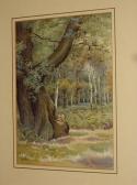 WALKER Robert Hollands Woodland With Squirrel Seated By A Tree WALKER Robert Hollands Woodland With Squirrel Seated By A Tree