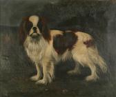 WALLER Lucy The Duke Of Twickenham WALLER Lucy The Duke Of Twickenham