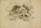 WARDLE Arthur Leopard And Snake WARDLE Arthur Leopard And Snake