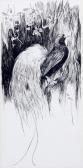 WARDLE Arthur Pelicans And King's Bird Of Paradise WARDLE Arthur Pelicans And King's Bird Of Paradise