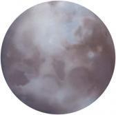 WARNER DEBORA Bad Moon Rising WARNER DEBORA Bad Moon Rising