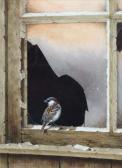 WATERHOUSE Ralph House Sparrow WATERHOUSE Ralph House Sparrow