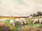 WATTS A. Sheep Grazing In Spring WATTS A. Sheep Grazing In Spring