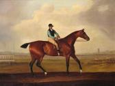 WEAVER Thomas A Bay Racehorse With A Jockey Up WEAVER Thomas A Bay Racehorse With A Jockey Up