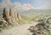 weidenhamer john Spring Flowers Of The Anza Borrego Desert, March 7 weidenhamer john Spring Flowers Of The Anza Borrego Desert, March 7