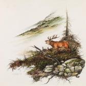WEIDINGER Hubert Röhrender Hirsch WEIDINGER Hubert Röhrender Hirsch