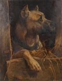 WEINBERGER Anton Deutsche Dogge WEINBERGER Anton Deutsche Dogge