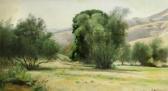 WELCH Thaddeus Arroyo Willows WELCH Thaddeus Arroyo Willows