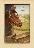 WELLERZIN A. Cabeça De Cavalo WELLERZIN A. Cabeça De Cavalo