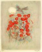 WELTI Alban Mohnblumen WELTI Alban Mohnblumen