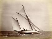 WEST George R. Sailing Yachts WEST George R. Sailing Yachts