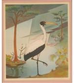 WHITEHEAD Buell Wood Ibis WHITEHEAD Buell Wood Ibis