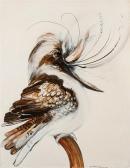 WHITELEY Brett Young Kookaburra Taking Its First Laugh WHITELEY Brett Young Kookaburra Taking Its First Laugh