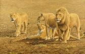 WHITTAKER Mark A Pride Of Lions WHITTAKER Mark A Pride Of Lions