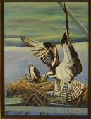 WHITTEMORE LOVELY Candace Ospreys At Their Nest WHITTEMORE LOVELY Candace Ospreys At Their Nest