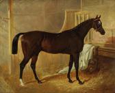 WILKINSON W S Touchstone, A Bay Racehorse WILKINSON W S Touchstone, A Bay Racehorse
