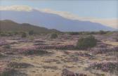 WILLARD Stephen H. Landscape With Verbena And Sagebrush WILLARD Stephen H. Landscape With Verbena And Sagebrush