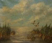 willemer Ducks In Flight Over An Estuary willemer Ducks In Flight Over An Estuary