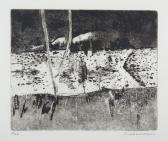 WILLIAMS Frederick Ronald Yarra Billabong WILLIAMS Frederick Ronald Yarra Billabong