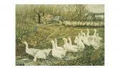 WILLIAMS J.N. Farmyard Geese WILLIAMS J.N. Farmyard Geese