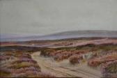 WILLIAMS John Wynne View Of The Moors WILLIAMS John Wynne View Of The Moors