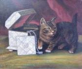 WILSON P. Kitten In The Jewellery Box WILSON P. Kitten In The Jewellery Box