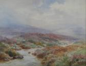 WIMBUSH Henry Bowser The Moors Yorkshire WIMBUSH Henry Bowser The Moors Yorkshire
