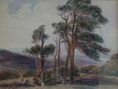 WINT de Peter Trees At Lowther WINT de Peter Trees At Lowther