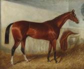 WOMBILL Sydney R. Portrait Of A Chestnut Racehorse In A Stable WOMBILL Sydney R. Portrait Of A Chestnut Racehorse In A Stable