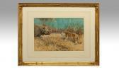 WOODHOUSE William Arnold Tiger & Rhinoceros WOODHOUSE William Arnold Tiger & Rhinoceros