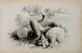 WORTHINGTON William Henry Trees And Rocks WORTHINGTON William Henry Trees And Rocks