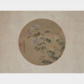 WU QU SONG JUN CHANG Chrysanthemum WU QU SONG JUN CHANG Chrysanthemum