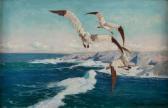 WYGRZYWALSKI Feliks M. Ranny Lot WYGRZYWALSKI Feliks M. Ranny Lot