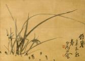 YITING WANG Orchid Flowers YITING WANG Orchid Flowers