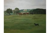 ZAEFFERER Adriana Horses Grazing ZAEFFERER Adriana Horses Grazing